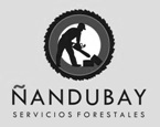 nandubay servicios forestales